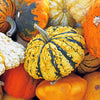 30 MIXED GOURD Lagenaria Siceraria Seeds