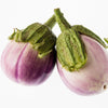 50 Organic Italian EGGPLANT ROSA BIANCA Solanum Melongena Esculentum Vegetable Seeds