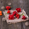 50 Ubatuba CAMBUCI PEPPER Red Brazilian Capsicum Baccatum Vegetable Seeds