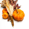 Indian Mini Mix Corn Seeds – Miniature 4" Ears Ornamental Zea Mays Vegetable – photo 11