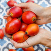 10 TAMARILLO / TREE TOMATO Cyphomandra Betacea Solanum Fruit Tree Seeds