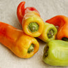 75 CUBANELLE PEPPER (Italian Sweets / Banana Pepper / Italian Frying Pepper) Capsicum Annuum Vegetable Seeds