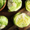 Great Lakes Lettuce Seeds – Batavian Iceberg Lactuca Sativa Vegetable – photo 3