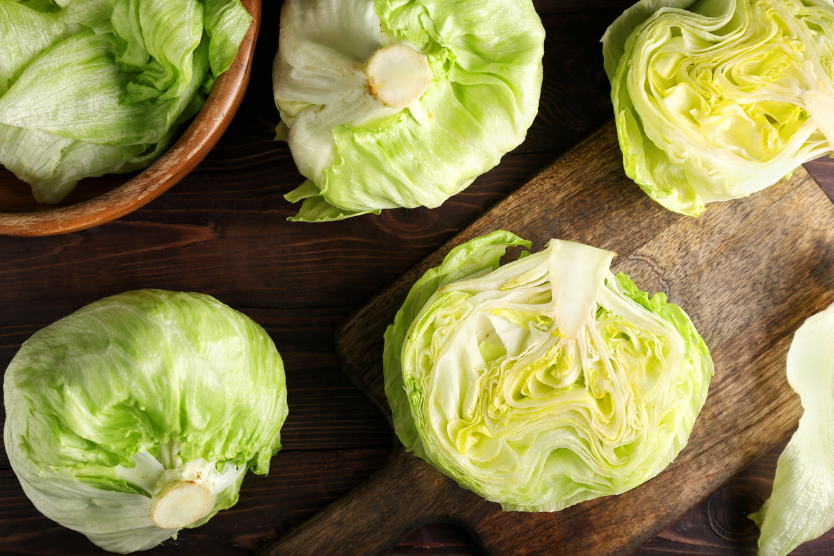 Great Lakes Lettuce Seeds – Batavian Iceberg Lactuca Sativa Vegetable – photo 3