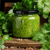 250 LEISURE CILANTRO / CORIANDER Coriandrum Sativum Herb Vegetable Seeds