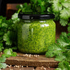 Leisure Cilantro / Coriander Coriandrum Sativum Herb Vegetable Seeds – photo 9