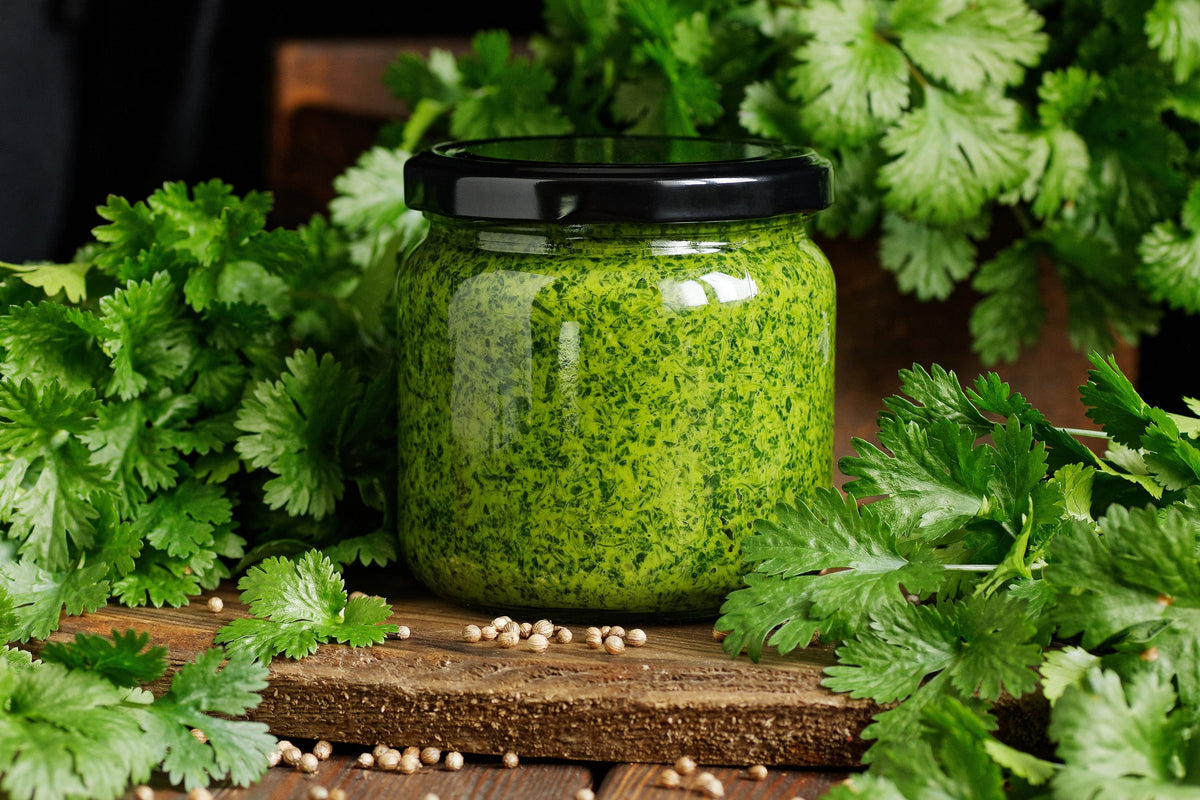 Leisure Cilantro / Coriander Coriandrum Sativum Herb Vegetable Seeds – photo 9