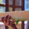 50 BANANA CANTALOUPE Melon Fruit Cucumis Melo Seeds