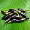 20 ROYAL BLACK PEPPER Capsicum Annuum Very Hot Chilli Vegetable Seeds