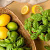 150 LIME BASIL Ocimum Basilicum HERB Flower Seeds