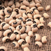 100 BLACKEYE PEA (Cow Pea / Cowpea / Southern Pea / Blackeyed Pea / Black Eye Pea) Vigna Unguiculata Vegetable Seeds