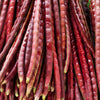 25 RED NOODLE BEAN Yard Long Asparagus Bean Chinese Phaseolus Vulgaris Legume Vegetable Seeds