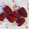 150 Red STRAWBERRY POPCORN CORN Zea Mays Vegetable Seeds