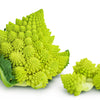 500 ROMANESCO BROCCOLI Broccoflower Roman Cauliflower Pyramid Broccolo Brassica Oleracea Vegetable Seeds