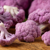 25 PURPLE CAULIFLOWER Violet Queen Brassica Oleracea Botrytis Vegetable Seeds