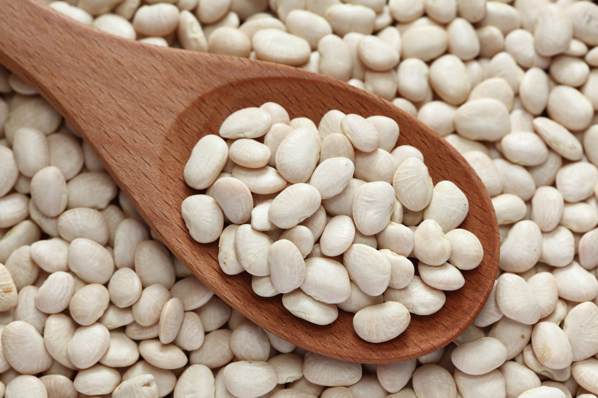 Baby Lima Bean Seeds – Phaseolus Lunatus Vegetable – photo 7