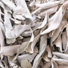 75 Sacred California WHITE SAGE Salvia Apiana Shrub Silver Folliage Native Smudge Seeds