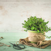 3000 SUMMER SAVORY Satureja Hortensis Herb Purple Flower Seeds