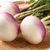 3000 PURPLE Top WHITE Globe TURNIP Brassica Rapa Vegetable Seeds
