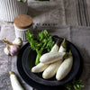 40 White Star FINGER FRUIT EGGPLANT Solanum Melongena Aubergine Fruit Vegetable Seeds