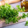 100 FIESTA Green CILANTRO / CORIANDER Coriandrum Sativum Herb Vegetable Seeds