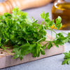 Fiesta Green Cilantro / Coriander Coriandrum Sativum Herb Vegetable Seeds – photo 11