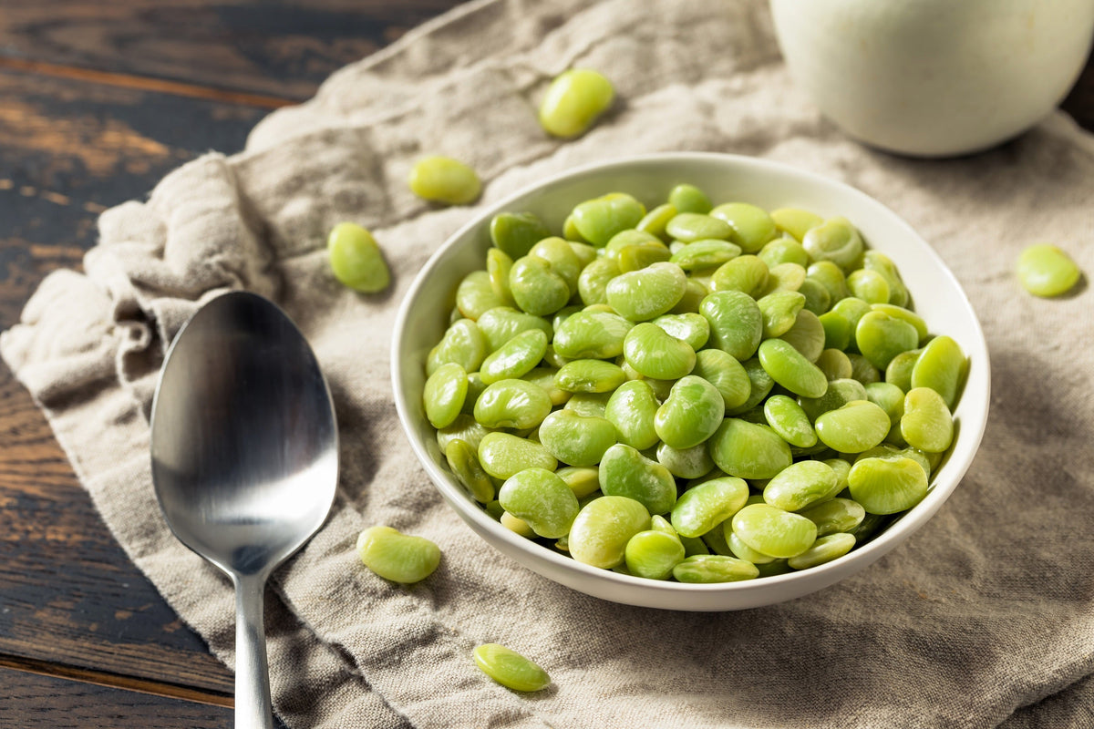 Fordhook Lima Bean Seeds – Phaseolus Lunatus Bush Bean Vegetable – photo 8