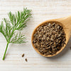 1000 LONG ISLAND Mammoth DILL Anethum Graveolens Herb Flower Seeds