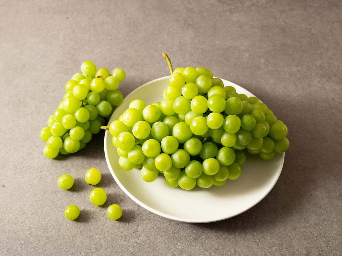Green (Dessert / Table) Grape Vitis Vinifera Fruit Vine Seeds – photo 5