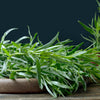 100 TARRAGON -  Kitchen / Common / Dragons Wort - Artemisia Dracunculus Flower Culinary Herb Seeds