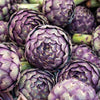 Purple Romagna Artichoke Seeds – Italian Cynara Scolymus Flower Vegetable
