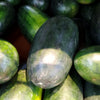 Congo Watermelon Red Citrullus Lanatus 40 lbs Aas Winner Fruit Melon Seeds – photo 4