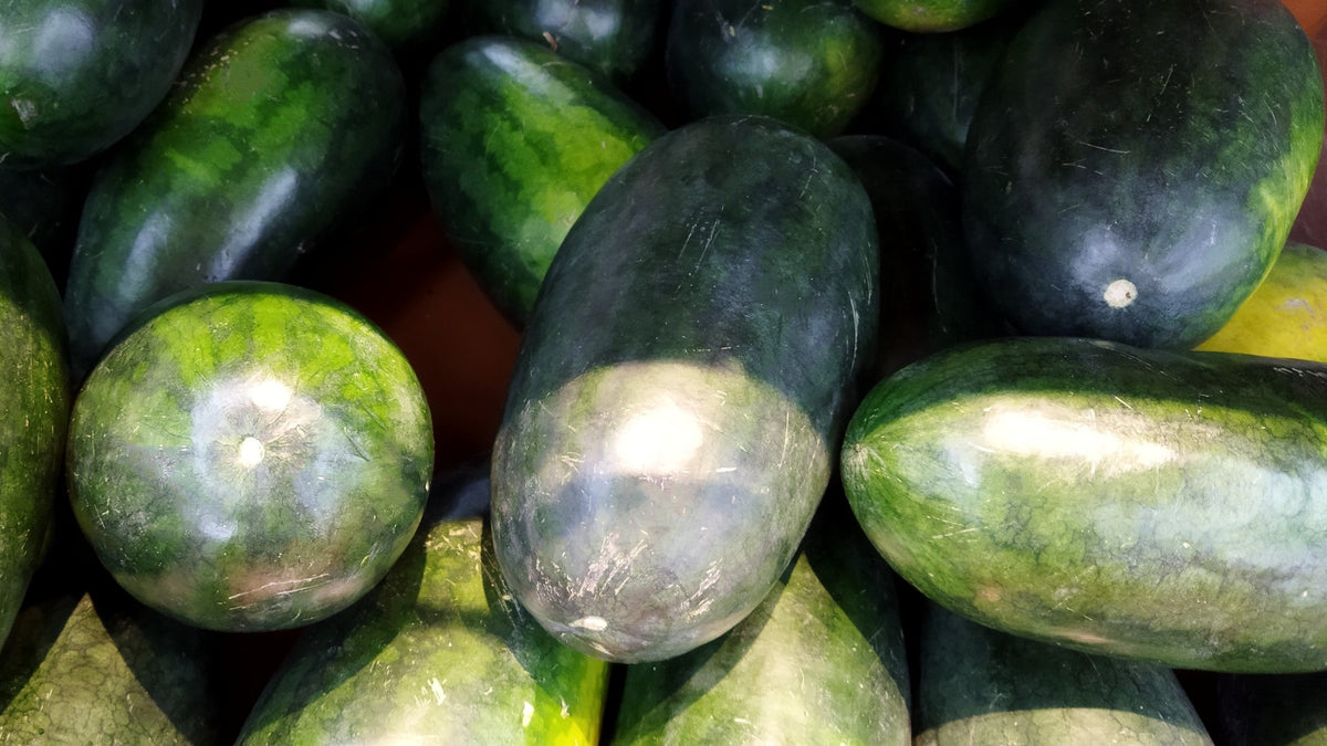 Congo Watermelon Red Citrullus Lanatus 40 lbs Aas Winner Fruit Melon Seeds – photo 4