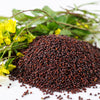 1000 BROWN MUSTARD Brassica Juncea Vegetable Herb Seeds