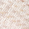 50 UMBRELLA PALM TREE Cyperus Involucratus Papayrus Sedge Seeds