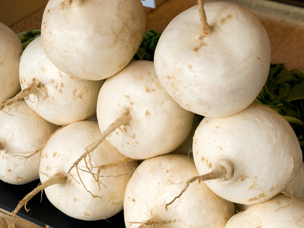 Shogoin Turnip Seeds – White Japanese Brassica Rapa Root & Greens Vegetable