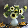 25 ITALIAN WHITE SUNFLOWER Helianthus Debilis Flower Seeds