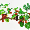 15 Red MULBERRY Morus Rubra Black Fruit Shrub Tree Seeds