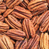 5 HARDY PECAN Tree Carya Illinoinensis King Nut Native Fruit Tree Seeds