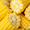 100 IOCHIEF Yellow SWEET CORN Aas Winner Zea Mays Vegetable Seeds