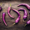 50 PURPLE CAYENNE PEPPER Hot Capsicum Annuum Vegetable Seeds