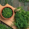 1000 LONG ISLAND Mammoth DILL Anethum Graveolens Herb Flower Seeds
