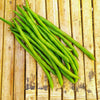French Blue Lake Pole Bean Phaseolus Vulgaris Vegetable Seeds – photo 6