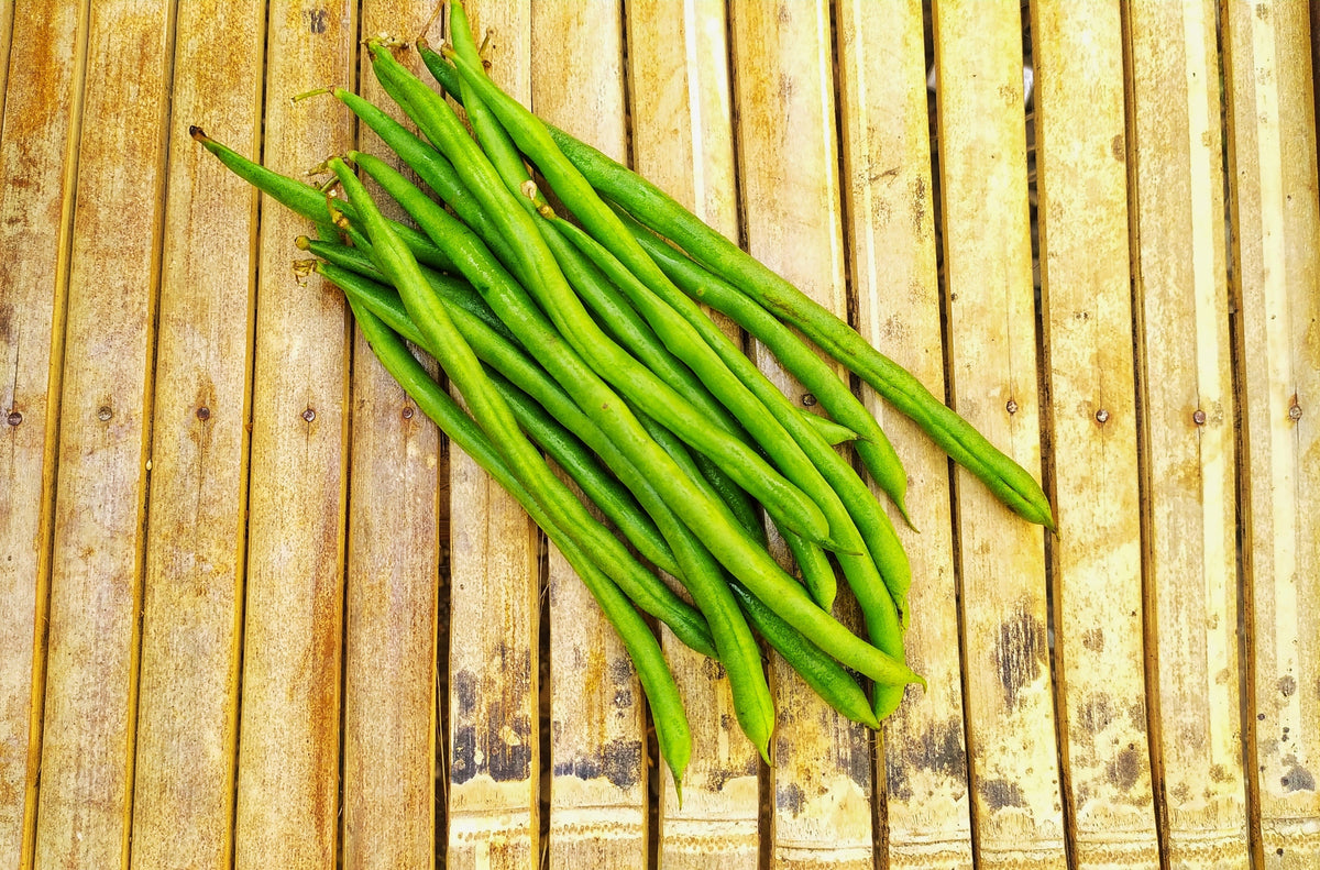 French Blue Lake Pole Bean Phaseolus Vulgaris Vegetable Seeds – photo 6