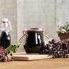 25 American ELDERBERRY FRUIT BUSH Shrub Tree Sambucus Nigra Canadensis Seeds