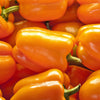 100 ORANGE King BELL PEPPER Sweet Capsicum Annuum Vegetable Seeds