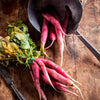 100 PINK SUMMERSICLE RADISH Raphanus Sativus Root Vegetable Seeds