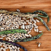 50 RATTLESNAKE POLE BEAN Stringless Purple Phaseolus Vulgaris Vegetable Seeds
