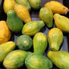 10 DWARF WAIMANALO PAPAYA Solo Hawaiian Carica Fruit Tree Houseplant Seeds