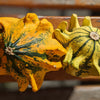 25 TEN COMMANDMENTS GOURD Mix Crown of Thorns Mixed Colors Cucurbita Pepo Seeds